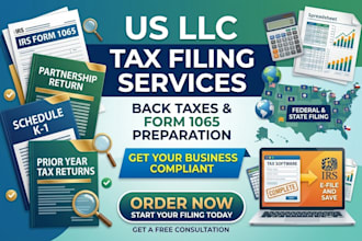prepare and file back taxes and form 1065 for US llc
