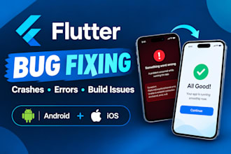 fix flutter bugs, crashes, errors and build issues