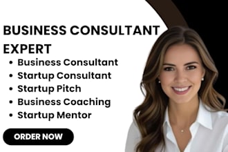 do business consultant startup consultant startup pitch marketing and mentorship