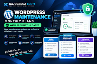 provide 3 monthly wordpress maintenance plans with security updates