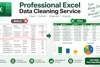 clean format and organize excel data professionally