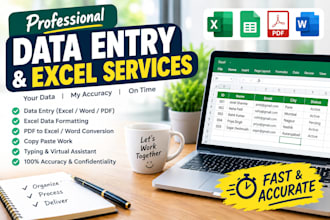 do data entry, excel data cleaning and copy paste work