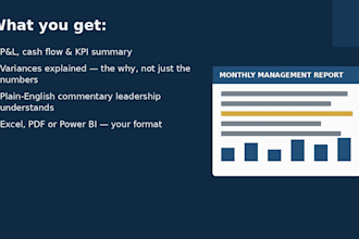 prepare management reports variance analysis and fpa reports for your business