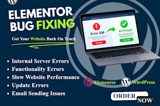 fix elementor bugs and responsive issues