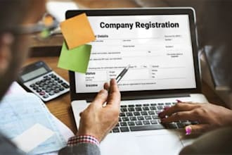 handle indian company and US llc formation and corporate compliance