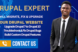 build, customize, redesign, or fix your drupal website
