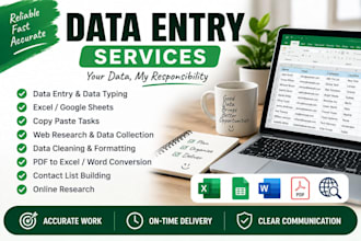 do accurate data entry,excel data cleaning and web search