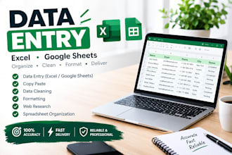 do accurate data entry, excel data cleaning and formatting