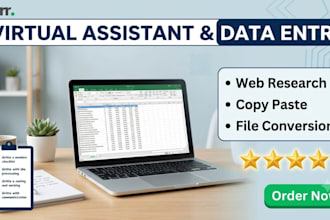 do data entry, microsoft excel and word tasks