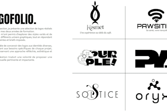 create a professional brand identity and visual design