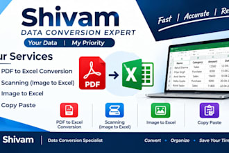 do professional PDF to excel, PDF conversion and copy paste work