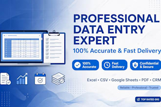 do excel data entry copy paste and web research