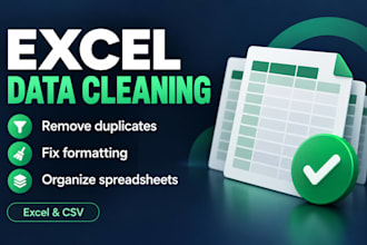 clean and organize your excel data