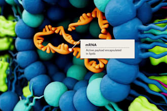 create medical animation 3d lipid nanoparticle drug delivery cellular animation
