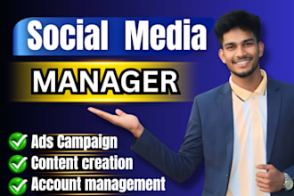 manage your social media organically and run ads campaigns