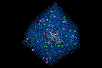 run molecular dynamics simulation and analysis