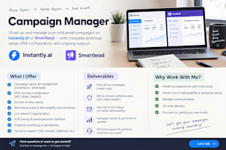 setup and manage instantly or smartlead cold email campaigns