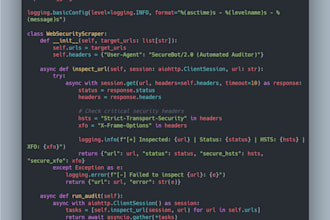 build custom ai solutions, python automation scripts, llm apps and web security