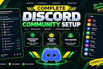 do professional discord server setup