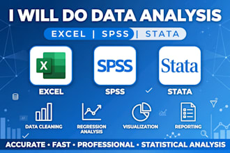 do data analysis,excel data cleaning,spss statistics