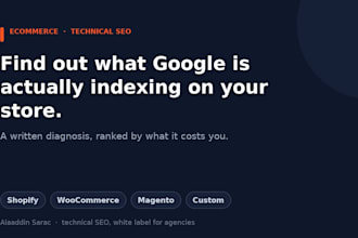 do a technical SEO audit of your shopify or ecommerce store