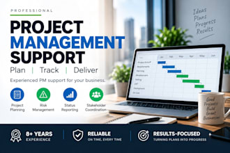 provide short term project management support