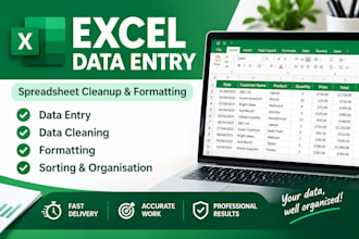 do excel data entry spreadsheet cleanup and formatting