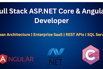 be your expert asp net core angular developer