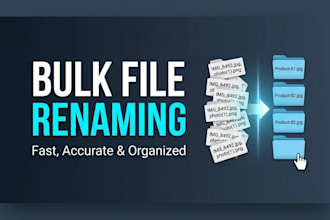 do bulk file renaming and file organization professionally