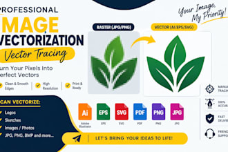 do professional logo vectorization, convert image to vector and svg file