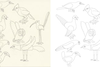 vectorize sketch to vector art in 24 hours