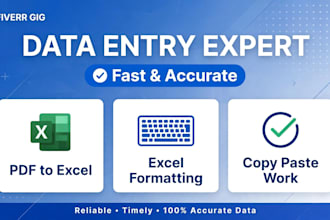 do accurate data entry, excel work, pdf to excel conversion