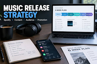 create a professional music release campaign and marketing strategy