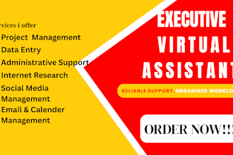 your personal executive virtual assistant for daily and admin tasks data entry