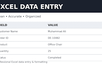 do professional data entry and ms office work