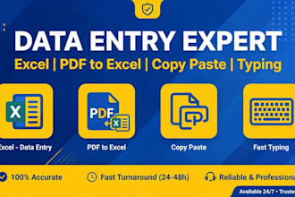 do data entry, excel, copy paste, typing, pdf to excel fast