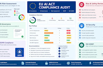 provide an eu ai act compliance audit and bias safety report
