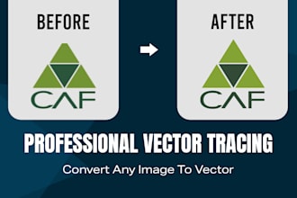 manual vector tracing, vectorize image