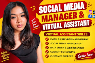 social media manager instagram branding executive virtual assistant ghl VA canva