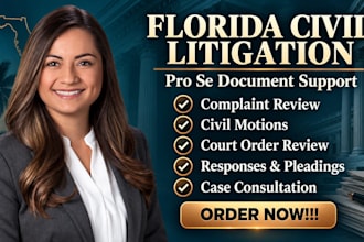 be your florida civil litigation attorney and legal consultant for pro se cases