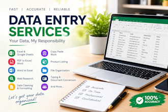 do data entry and web reserach in well way