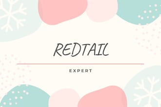 be your redtail CRM expert for setup and customization