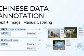 do chinese data labeling and annotation