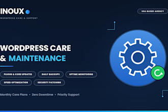 provide monthly wordpress maintenance and website care