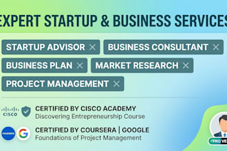be your startup consultant and project manager