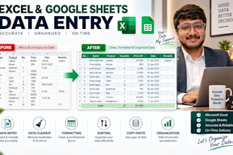 do accurate excel data entry and spreadsheet formatting