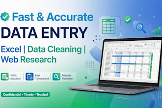 do accurate data entry, excel data cleaning