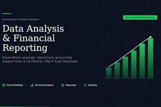 be your data analyst and will do financial management and accounting tasks