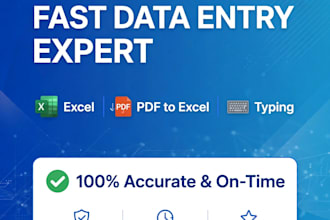 do data entry, excel work, pdf to excel and typing work fast
