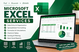 create and format professional excel spreadsheets
